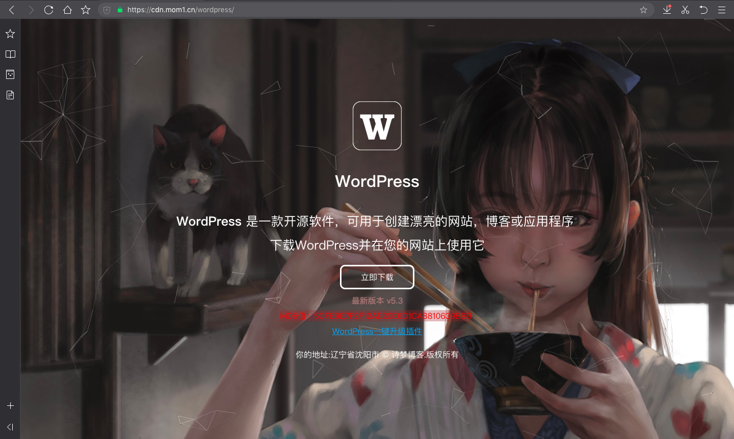 WordPress官方打不开是因为国人攻击人家，人家全面禁止中国区内访问插图
